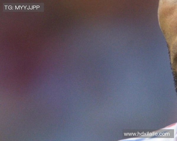 门兴成功引援：从海登海姆签下前锋克莱因迪恩斯特(克莱门蒂是谁的老师)