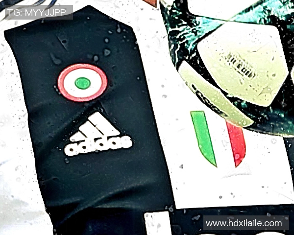 萨利巴当选阿森纳队长？未来领袖